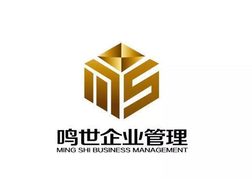 深圳鳴世企業(yè)管理咨詢有限責(zé)任公司 助力企業(yè)卓越，鑄就管理典范